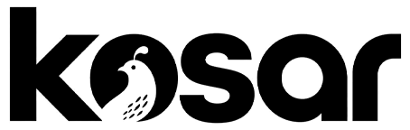 لوگو سایت